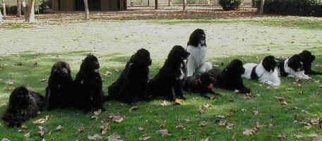 Photo: 2007 veteran's picnic group photo