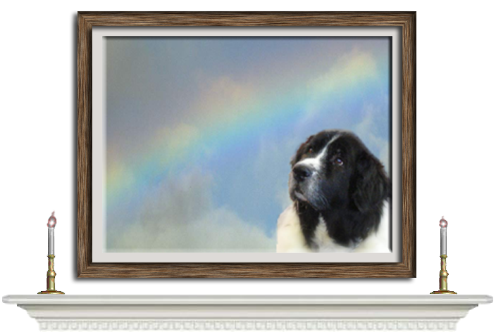 Photograph of KD looking toward the Rainbow Bridge.
