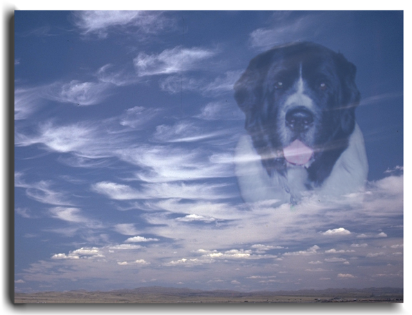 Photograph of KD floating in the clouds.